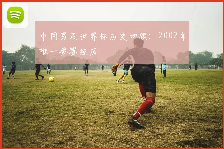 中国男足世界杯历史回顾：2002年唯一参赛经历