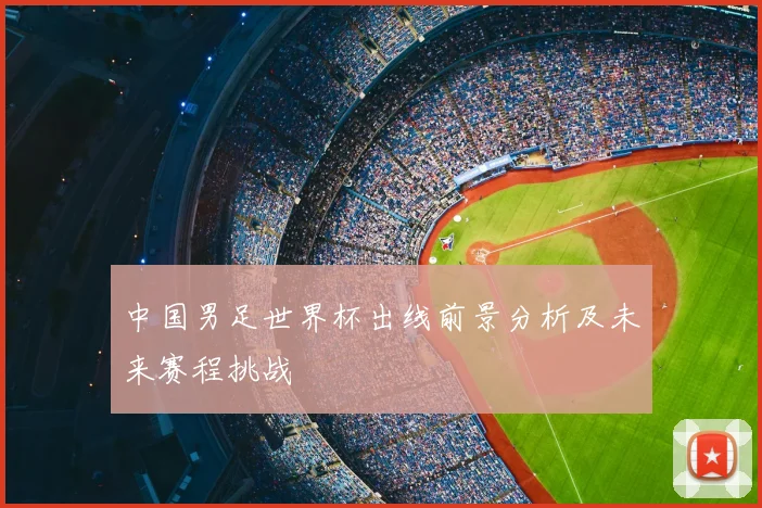 中国男足世界杯出线前景分析及未来赛程挑战